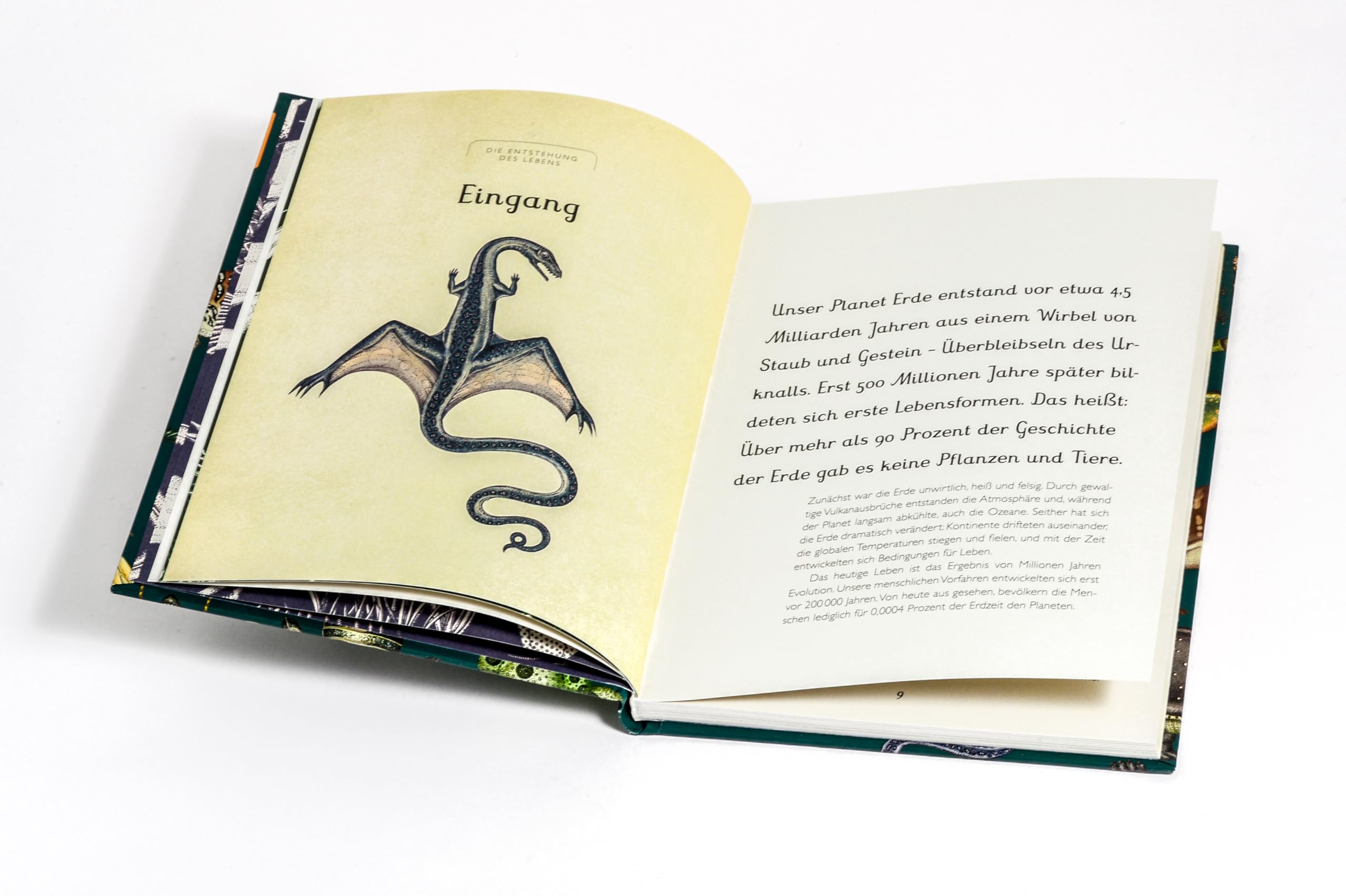 Die Entstehung des Lebens. Evolution: Eintritt frei! - Sachbilderbuch im Geschenkbuch-Format für Kinder ab 8 Jahren mit Illustrationen von Katie Scott (Eintritt frei! Komm mit ins Museum, Band 11)