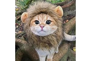 Lions Mane Costume for Your Beloved Pets