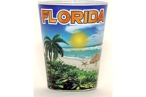 Florida Blue Beach Skyline Shot Glass