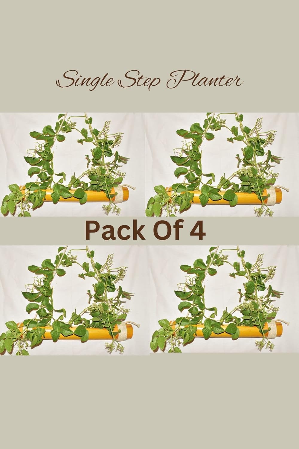 WATIKA CRAFT Wall Hanging pots for Plants, Natural Bamboo Planter. Hanging pots for Plants Indoor, Hanging pots for Plants Balcony. (Pack of 4) (B0CNRY7B41) Amazon Price History, Amazon Price Tracker