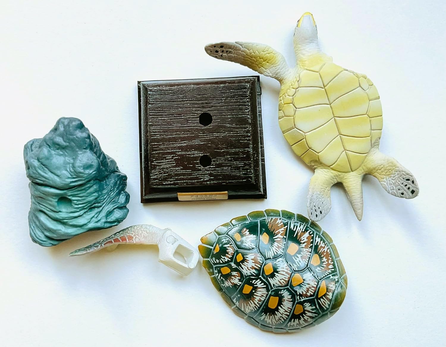 海洋堂　Naturetales アオウミガメ 海洋堂Naturetales アオウミガメ
