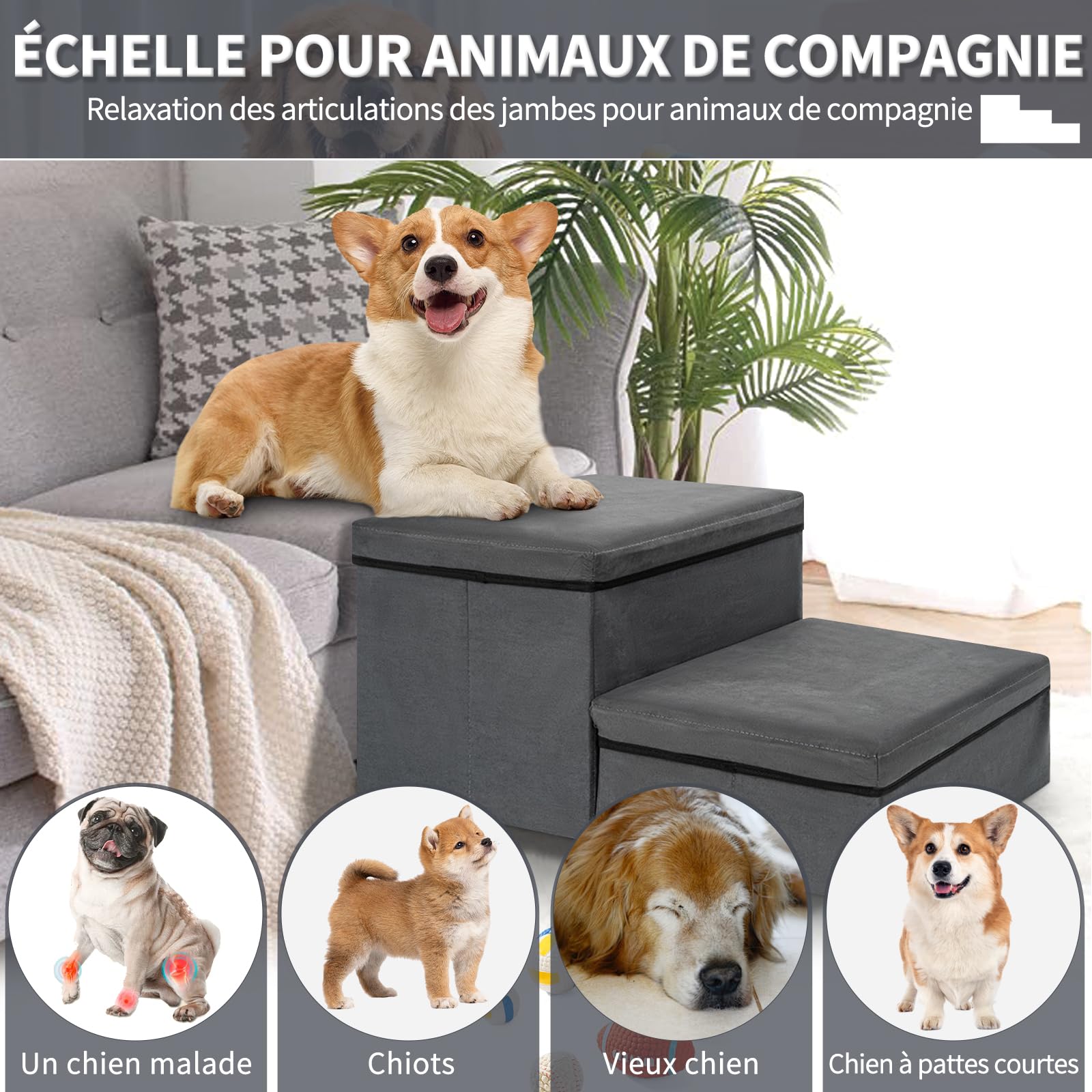 OUUTMEE Escalier pour Chien, Escalier pour Animaux avec Rangement Intégré, Escalier Chien Pliable Antidérapante pour Chiots, Chats Petits/Moyens et Animaux Agés, Lit et Sofa (Gris) (2 Marches)