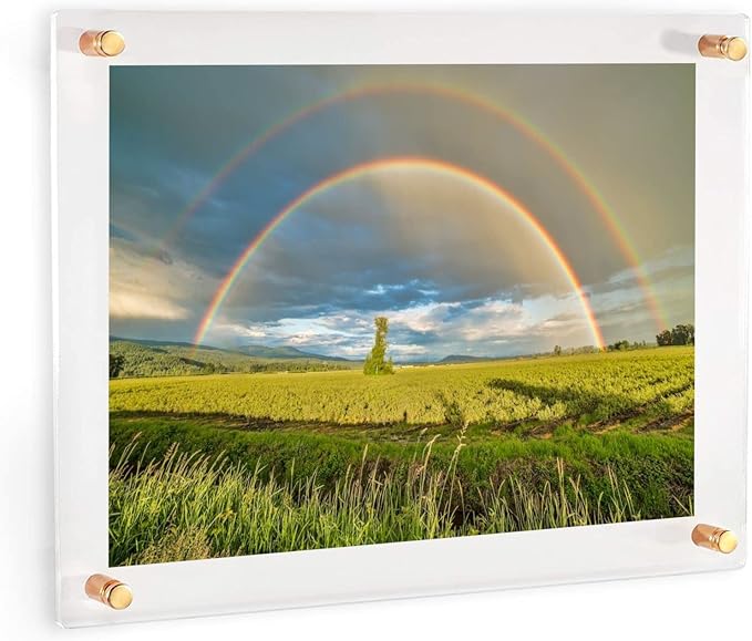 (11" x 17") Clear Acrylic Wall Mount Floating Picture