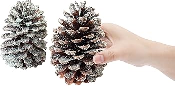 BIG14cm100個やすの松ぼっくり BIG14cm100個やすの松ぼっくり新品