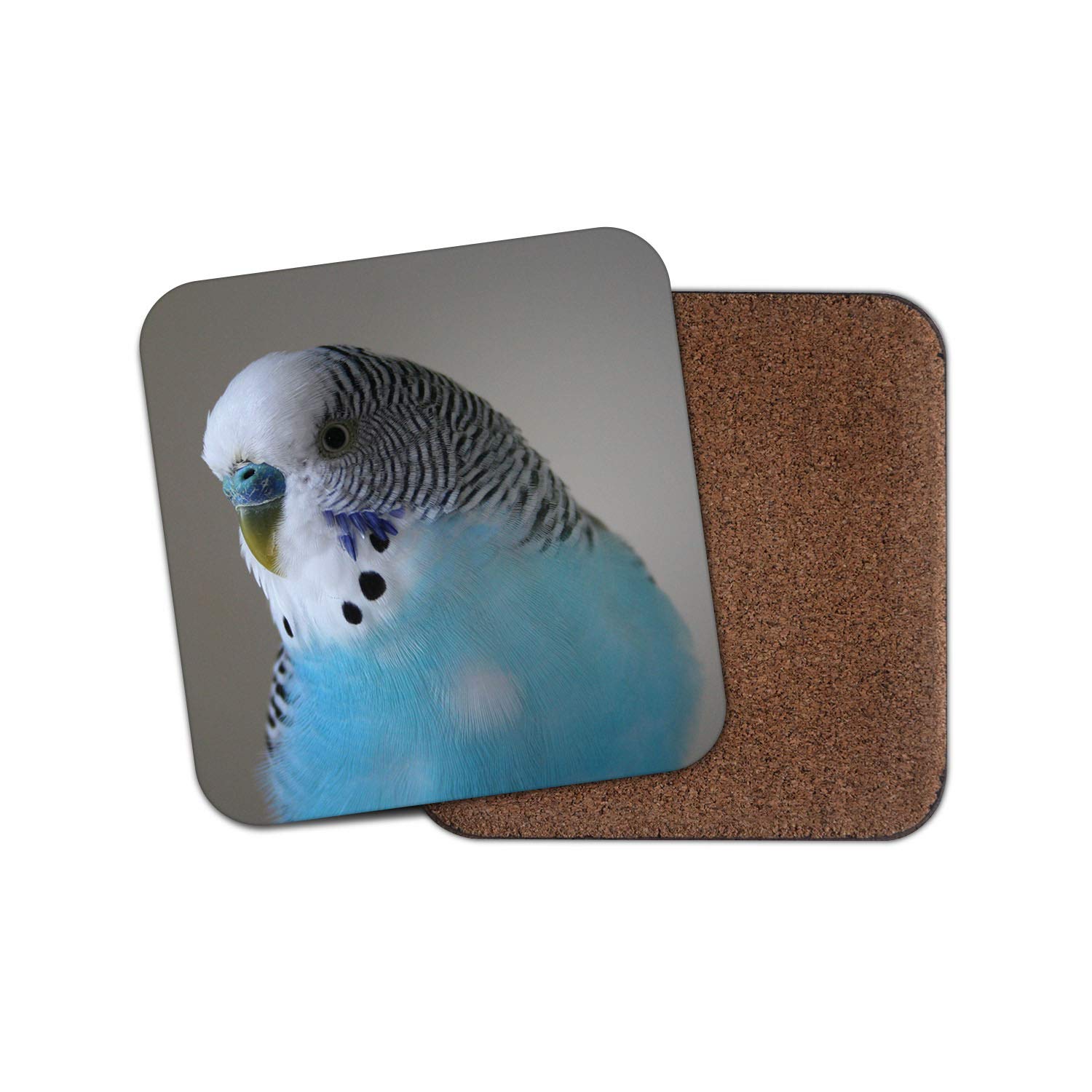 Destinationvinyl Multicolor 1 X Pretty Blue Budgie Coaster - Budgerigar Bird Parrot Pet Fun #14623