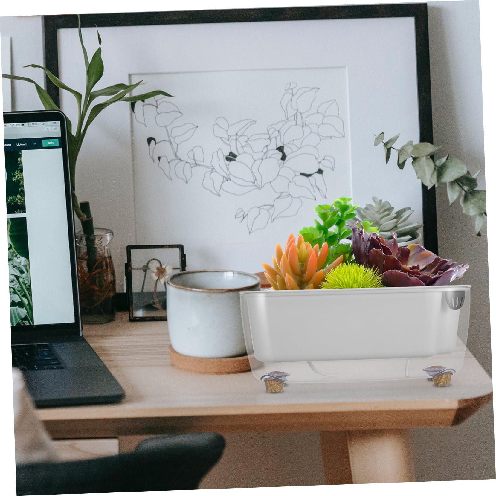 Pot à Arrosage Automatique Transparent en PP Double Couche et Design Auto-irrigant pour Plantes D'intérieur pour Décoration Maison