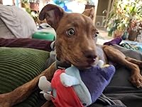 Review Image by MiSsA MiSsA