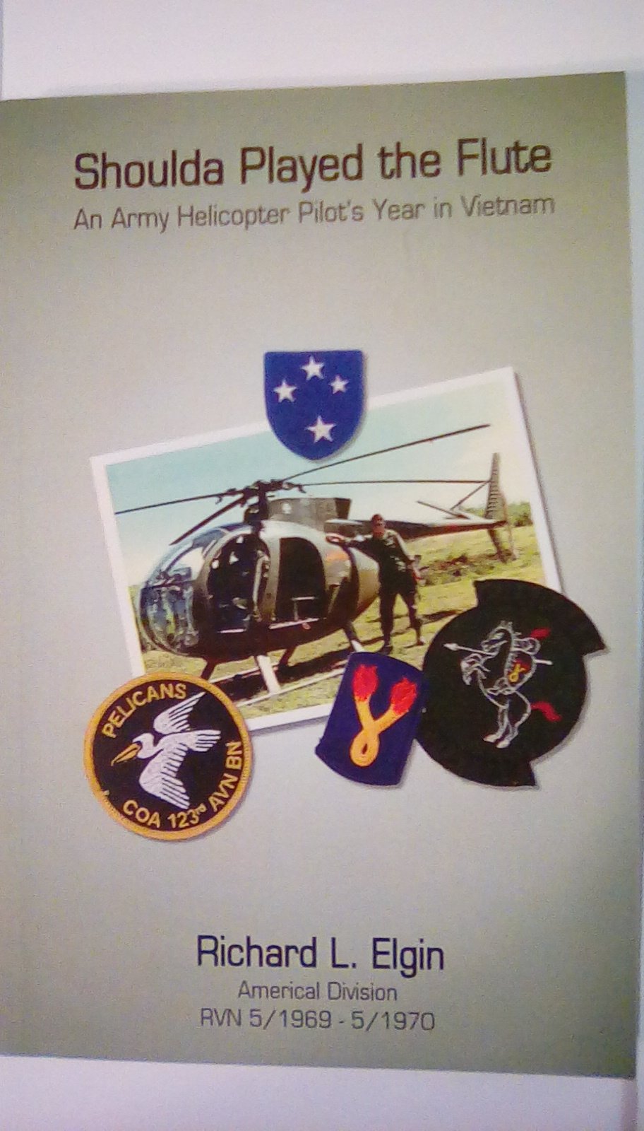 Shoulda Played the Flute: An Army Helicopter Pilot's Year in Vietnam