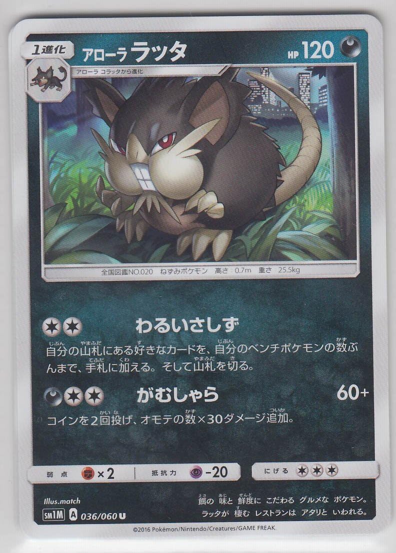 Amazon.com: Pokemon Card japonés – alolan raticate 036/060 sm1 m : Juguetes  y Juegos