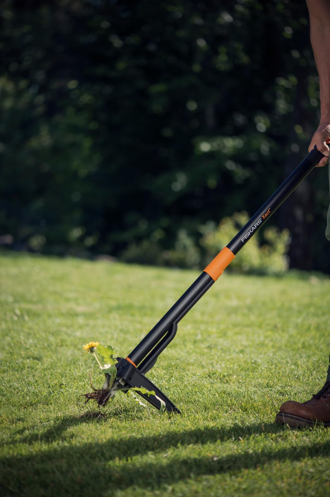 Fiskars Xact Unkrautstecher, Länge: 1 m, Rostfreie Stahl-Arme/Kunststoff-Griff, Schwarz/Orange, Kartoneinzelverpackung, 1077305