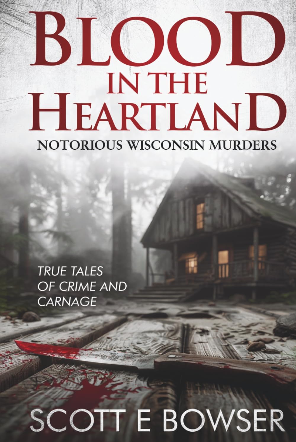 Blood in the Heartland: Notorious Wisconsin Murderers: True Tales of Crime and Carnage.