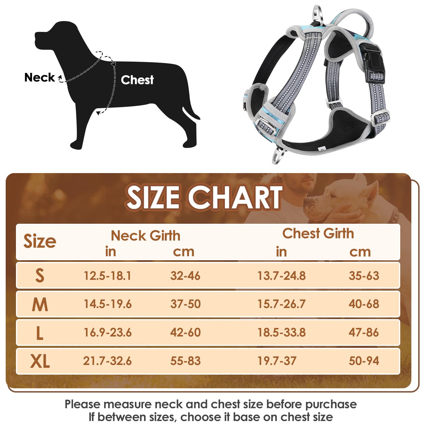 Eyein Dog Harness Small Dog, Anti Pull Adjustable Heavy Duty Pet Vest Harness with 2 Clips, Easy Control Escape Proof Puppy Harness with Soft Padded Handle Reflective for Outdoor Training Walking, S - Image 2