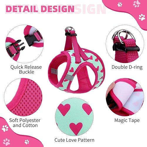 Miniatura 2 de KOOLTAIL Arnés para perro para perros pequeños y medianos, juego de arnés y correa para perro, sin tirones, de malla suave acolchada, ajustable y
