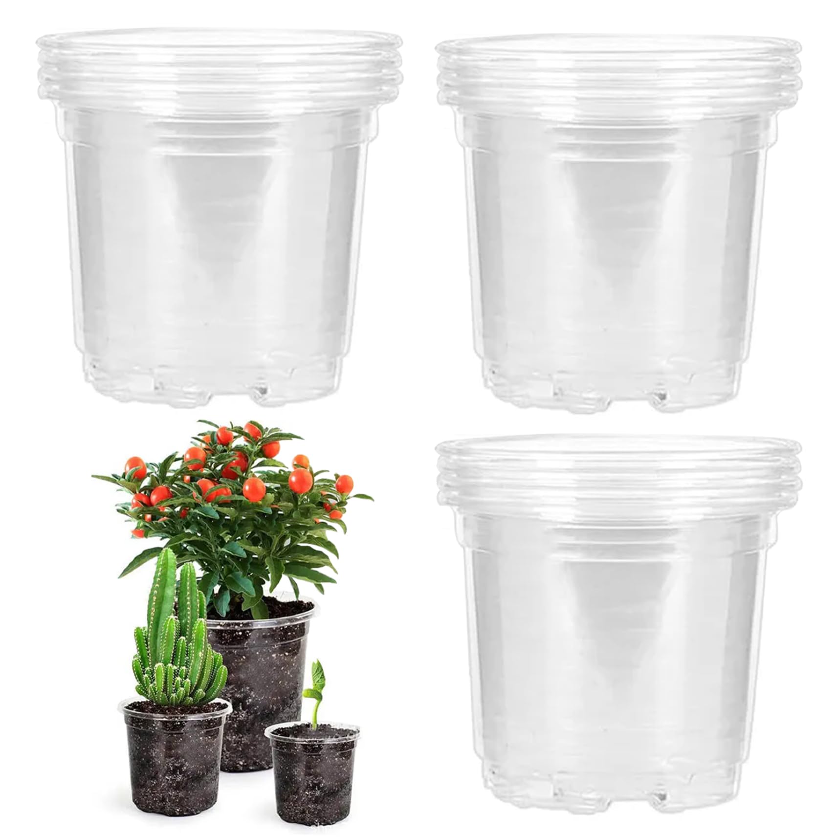 Pots de pépinière transparents pour réussir le démarrage des graines