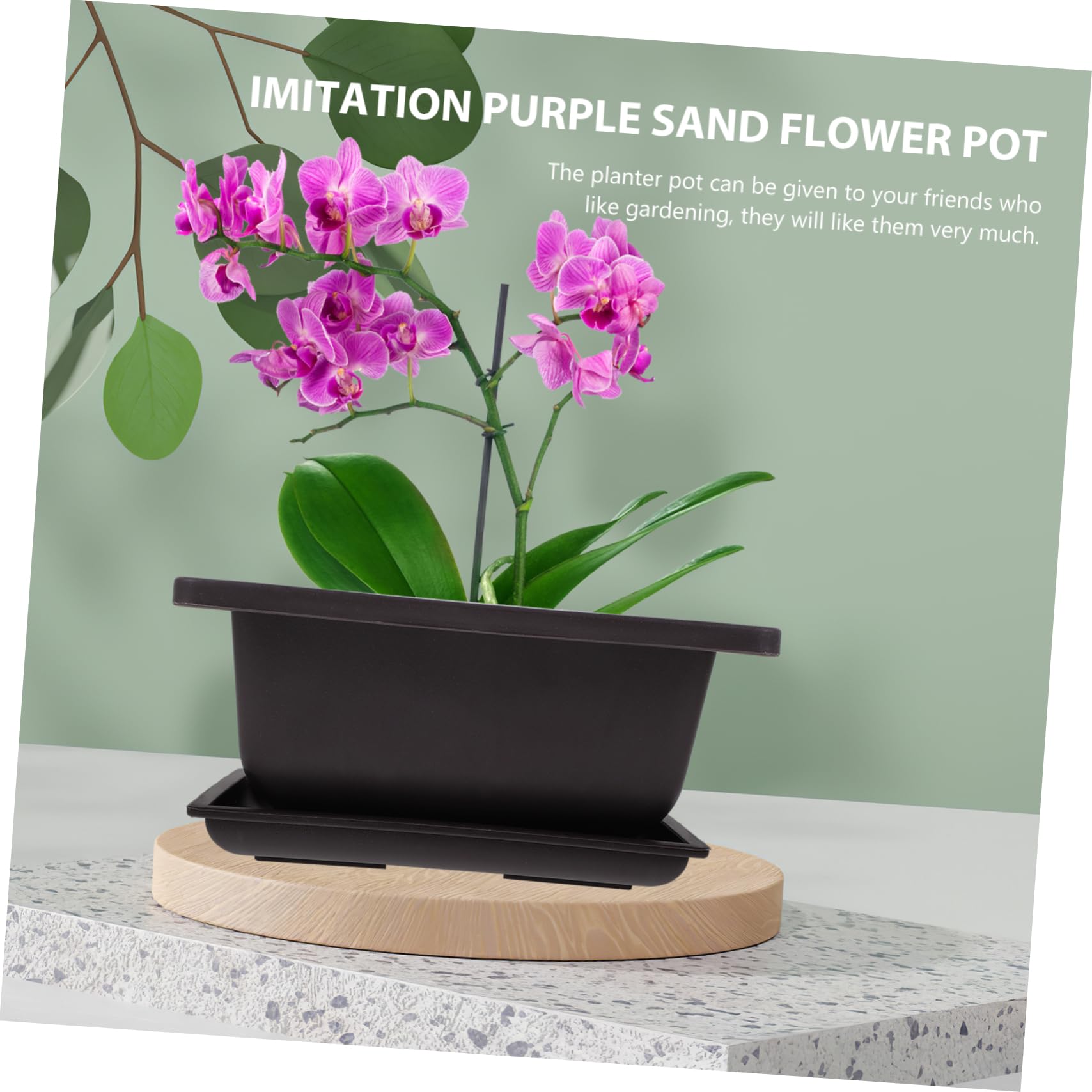 POPETPOP 6 Zestawów Doniczek Na Sukulenty Zestaw Prostokątnych Pojemników Do Sadzenia Doniczka Na Kaktusy Plastikowe Doniczki Na Sukulenty Akcesoria Do Bonsai Doniczka Na Drzewo Bonsai