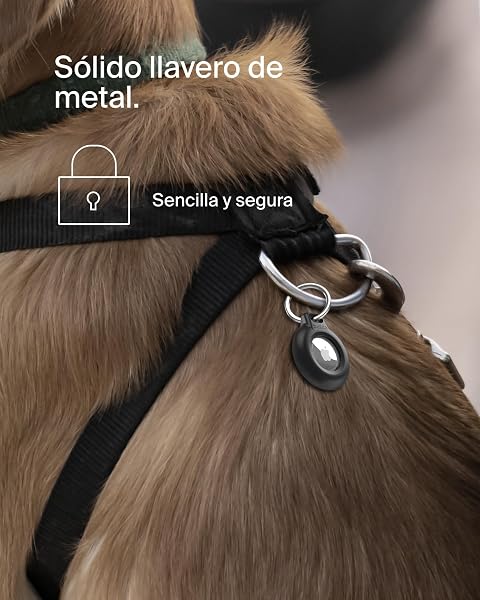 Belkin Secure Holder Funda Impermeable con Llavero para AirTag, Cubierta Resistente y antiarañazos, Accesorio Protector con Anillo para Llaves, Mascotas, Mochilas, Maletas y Otros, Negro una Unidad - 4