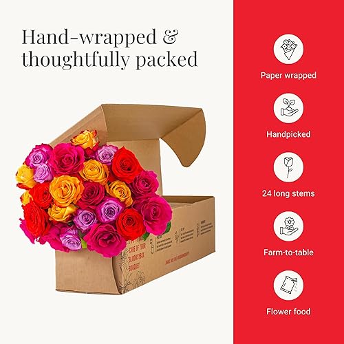 Miniatura 6 de BloomsyBox Ramo de rosas reales multicolores: dos docenas de rosas arcoíris, 25 tallos largos, arreglo floral de larga duración y atado a mano, ramo