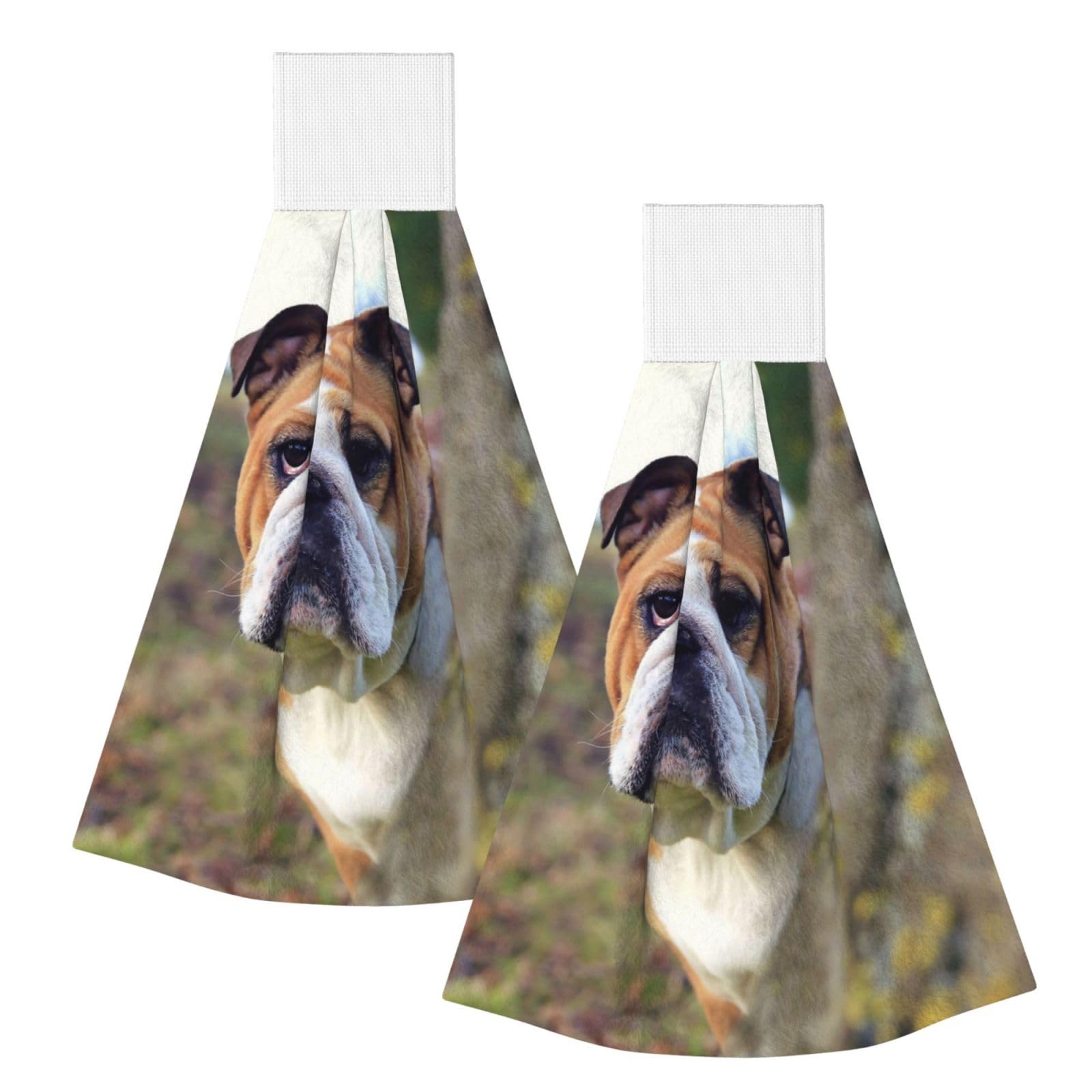 DOPKLNA English BullDogs Lawn Pets English BullDogs, 2 Pcs Hanging Coral Fiber Hand Towels for Bathroom, Absorbent Kitchen Towels