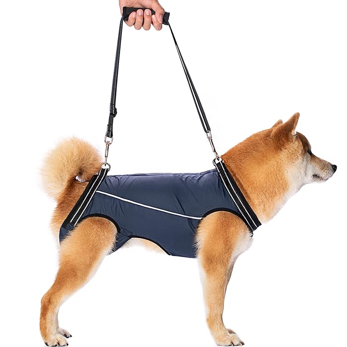 Buy Dog Lift Harness for Full Body Support & Recovery Sling, Pet