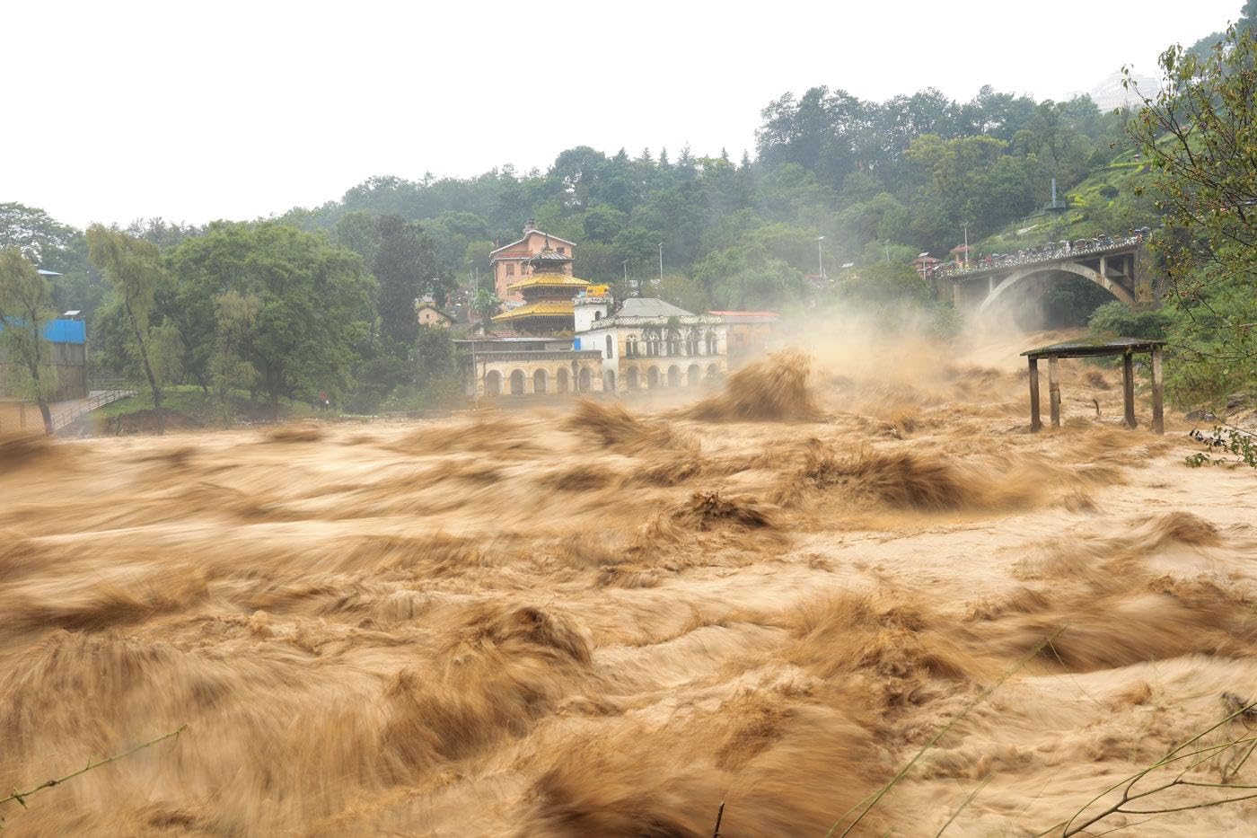 WATER IS LIFE: 50 Years of the IHP and 60 Years of Water Sciences at UNESCO
