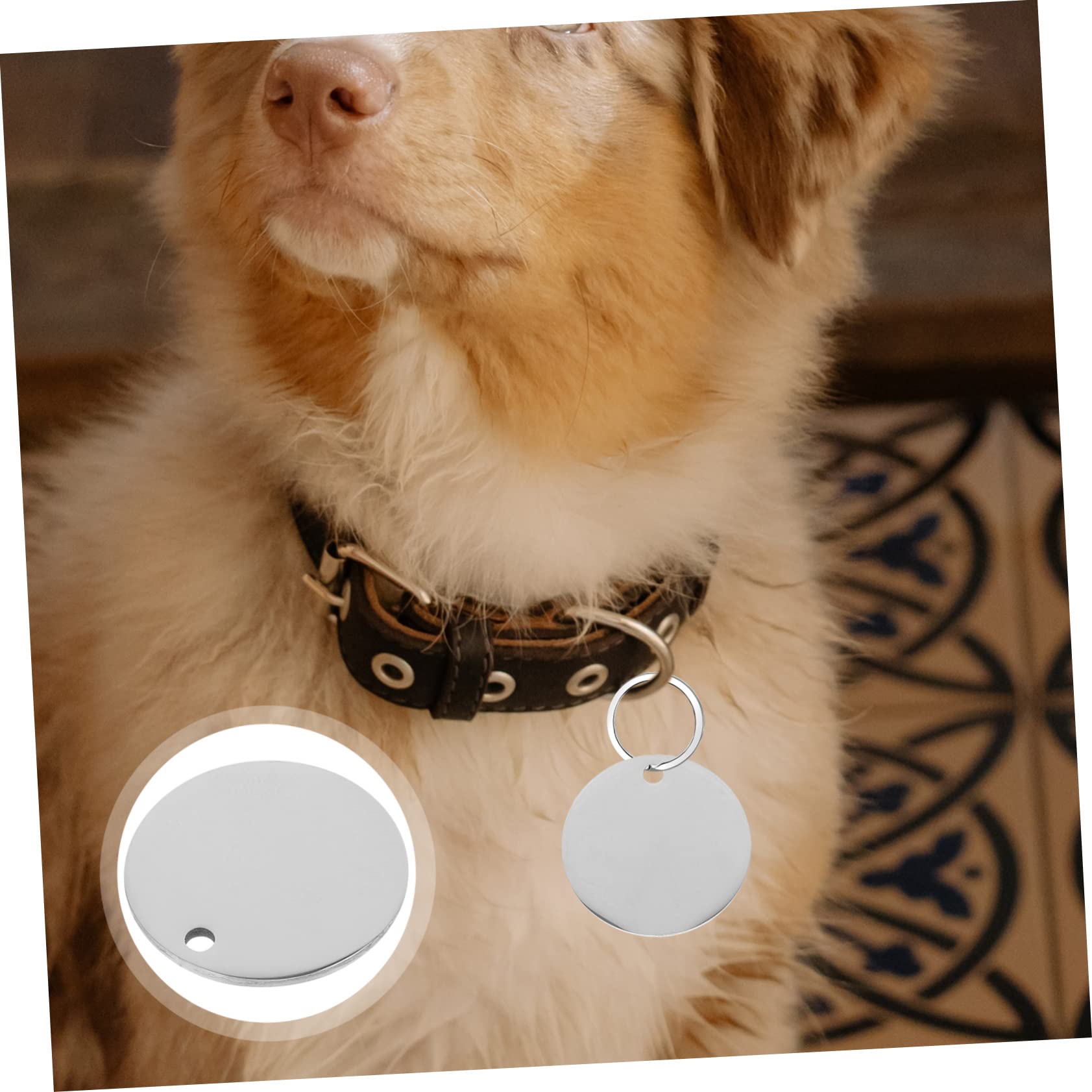POPETPOP 30 Etiquetas De Etiquetas De Perro En Para Estampar Etiquetas De Nombres Etiquetas De Perro En Para Grabar Kit De Estampado De Joyas Etiquetas De Estampado Colgante