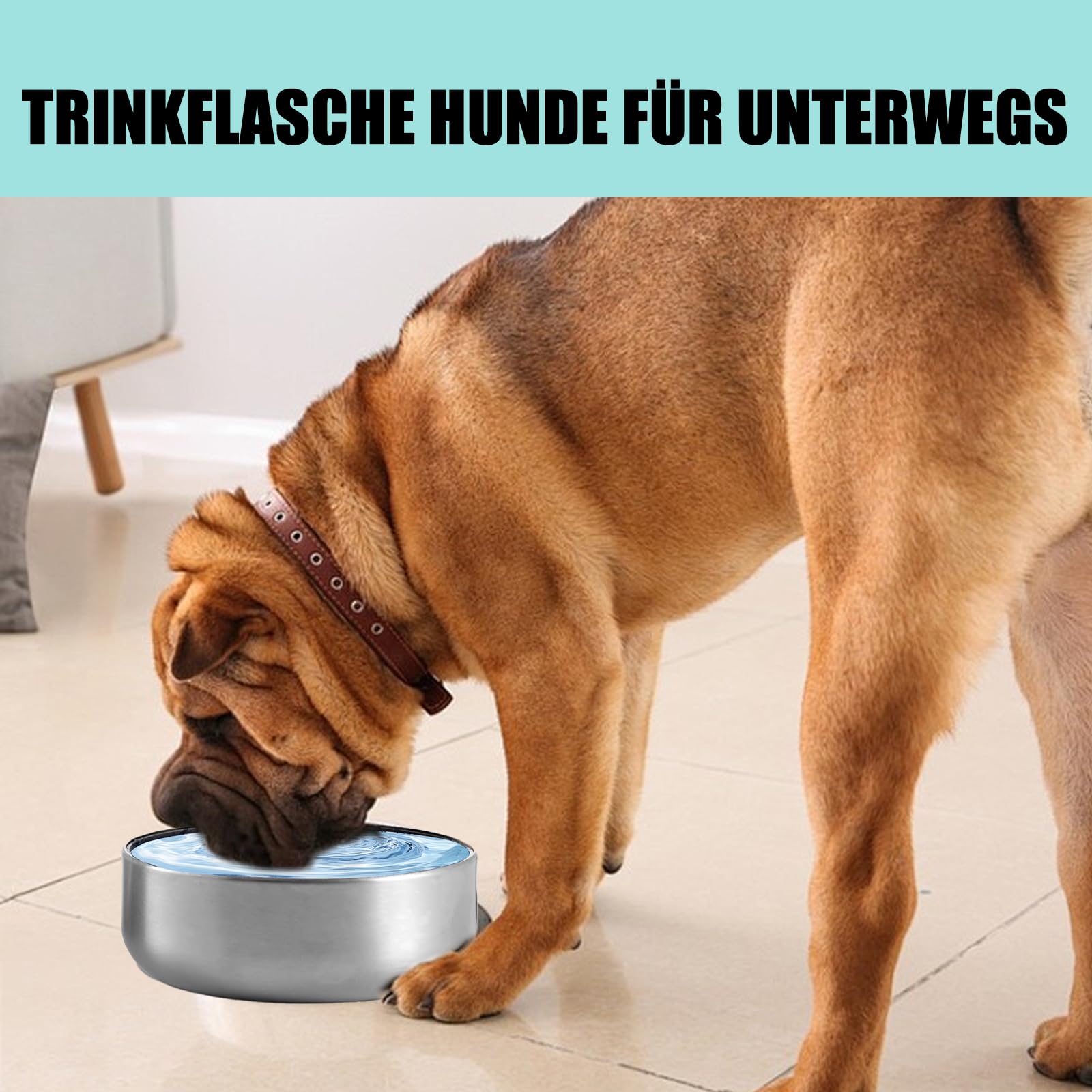 hundebett kuschelig Hundebett Sofa  flauschig und warm fr gemtliche Stunden