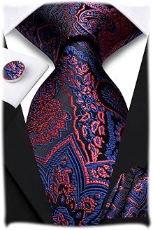 Hi-Tie Silk Paisley Ties for Men Necktie Pocket Square Cufflinks Set Foral Tie Sets Formal Business