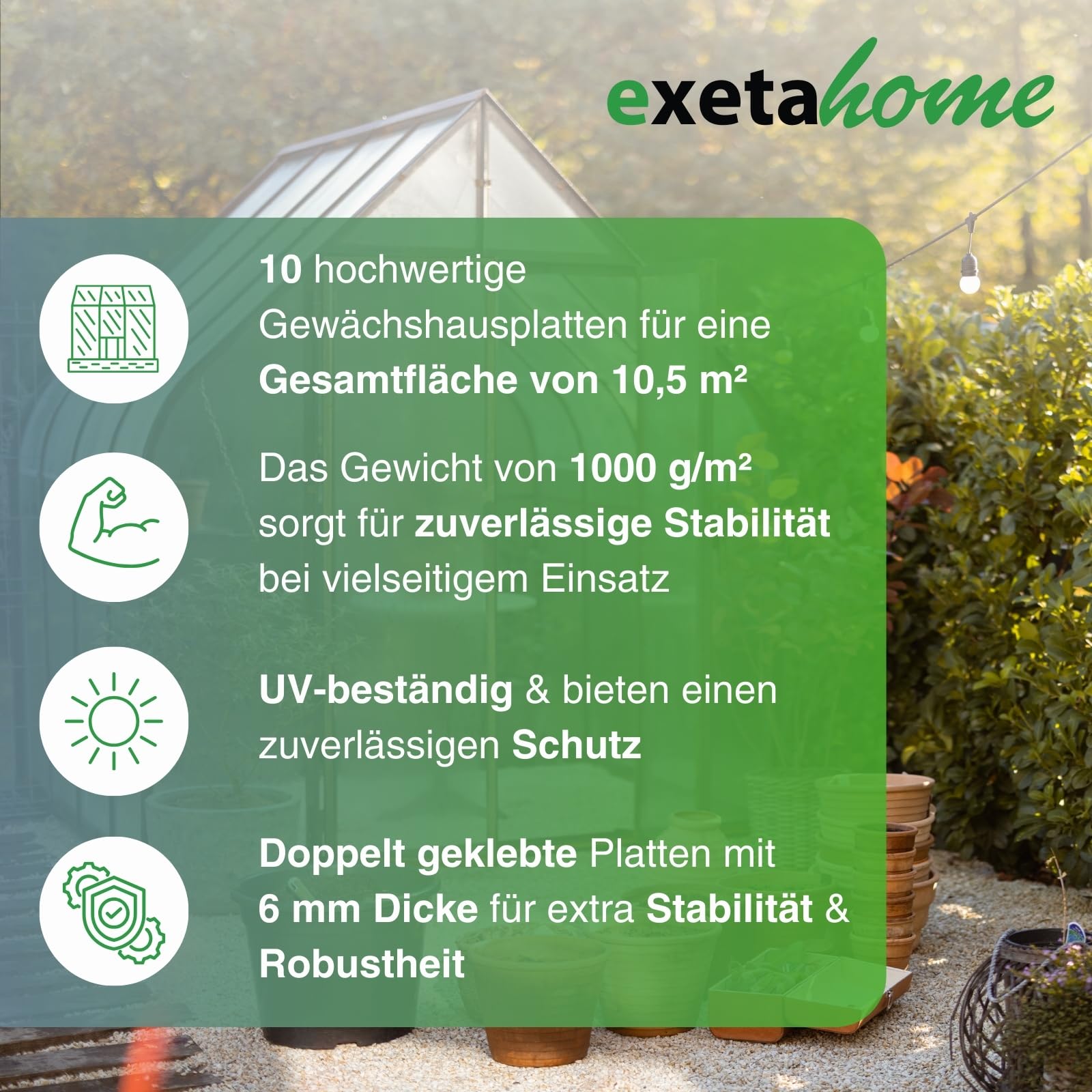 10x Gewächshausplatten 6 mm I Polycarbonat Hohlkammerplatten für Gewächshäuser I PC Doppelstegplatten UV-beständig & bruchsicher I für Garten, Frühbeet uvm I 60,5cm x 121cm I Transparent