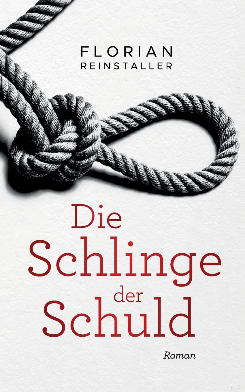 Die Schlinge der Schuld: Ein Wienkrimi (Der zweite Fall von Voigt & Novak)