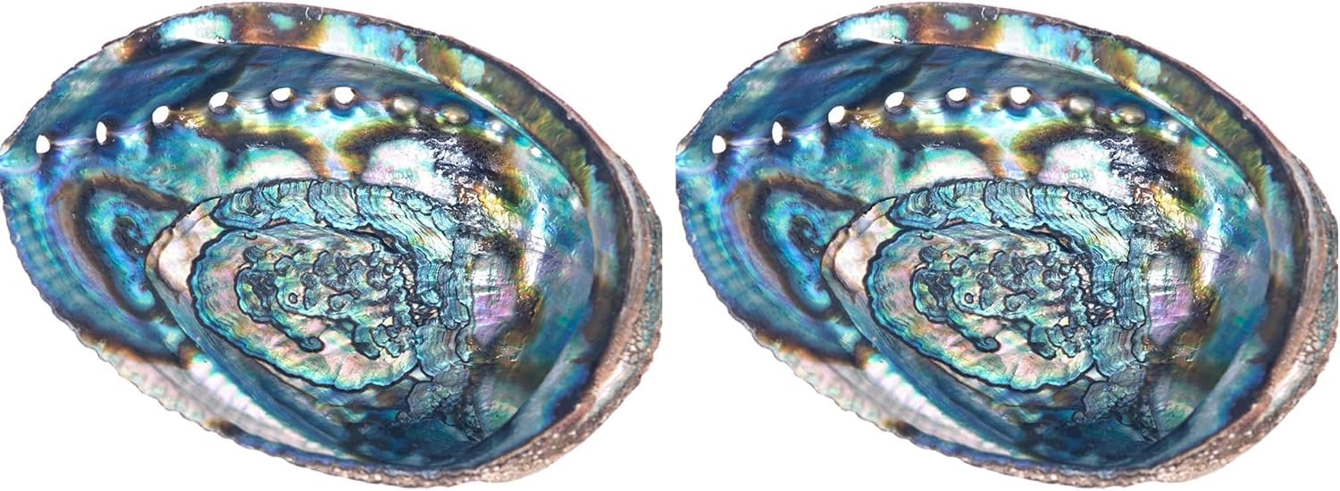 Incense Garden Abalone Shell Smudging Bowl Seashell Incense Burner, 7 Plus Inches