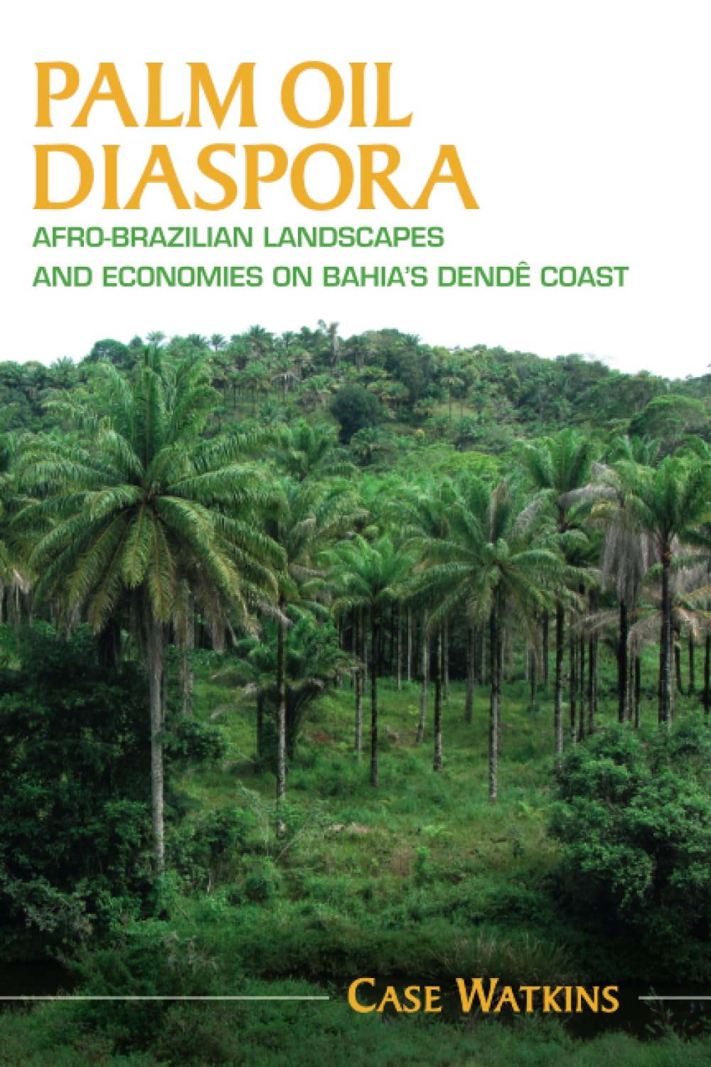 Palm Oil Diaspora: Afro-Brazilian Landscapes and Economies on Bahia's Dendê Coast (Afro-Latin America)