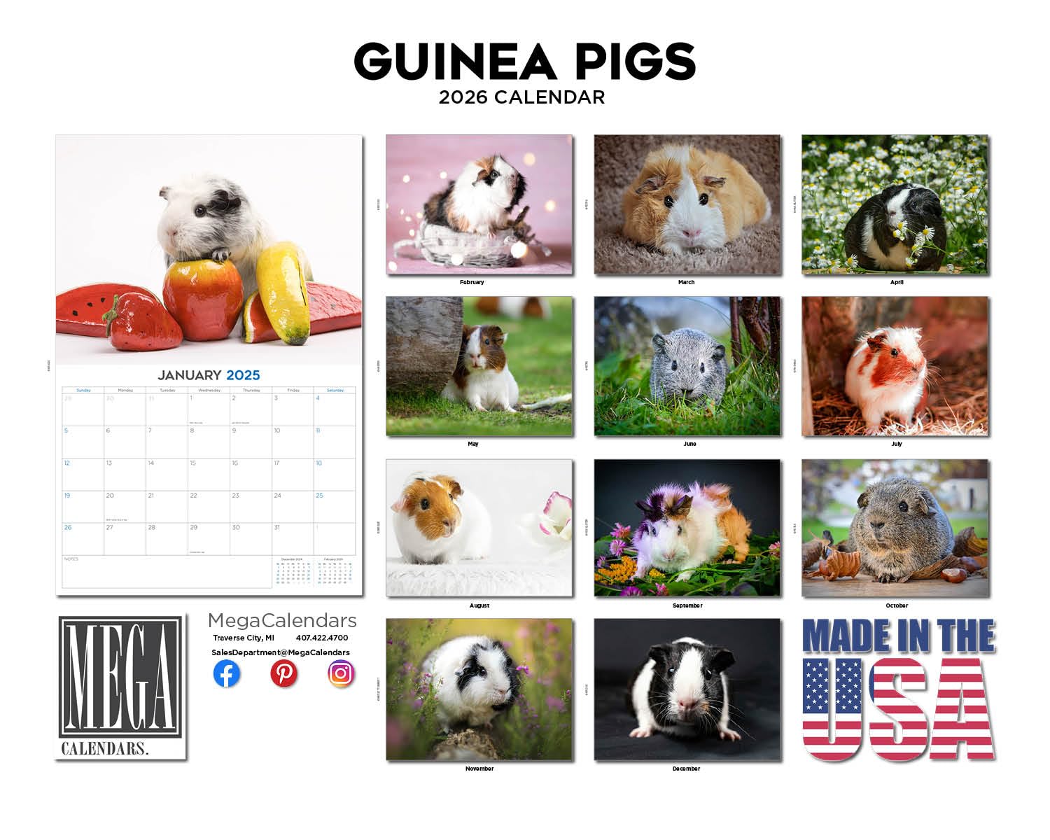 Calendario 2024 2025 de conejillos de indias, calendario mensual de pared de animales lindos, abierto de 12 x 18 pulgadas, papel grueso que no se corre, regalo, planificador académico para profesores,