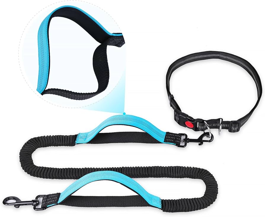 Amazon | YIHATA 犬 リード ロングリード 小型犬 中型犬 大型犬 訓練