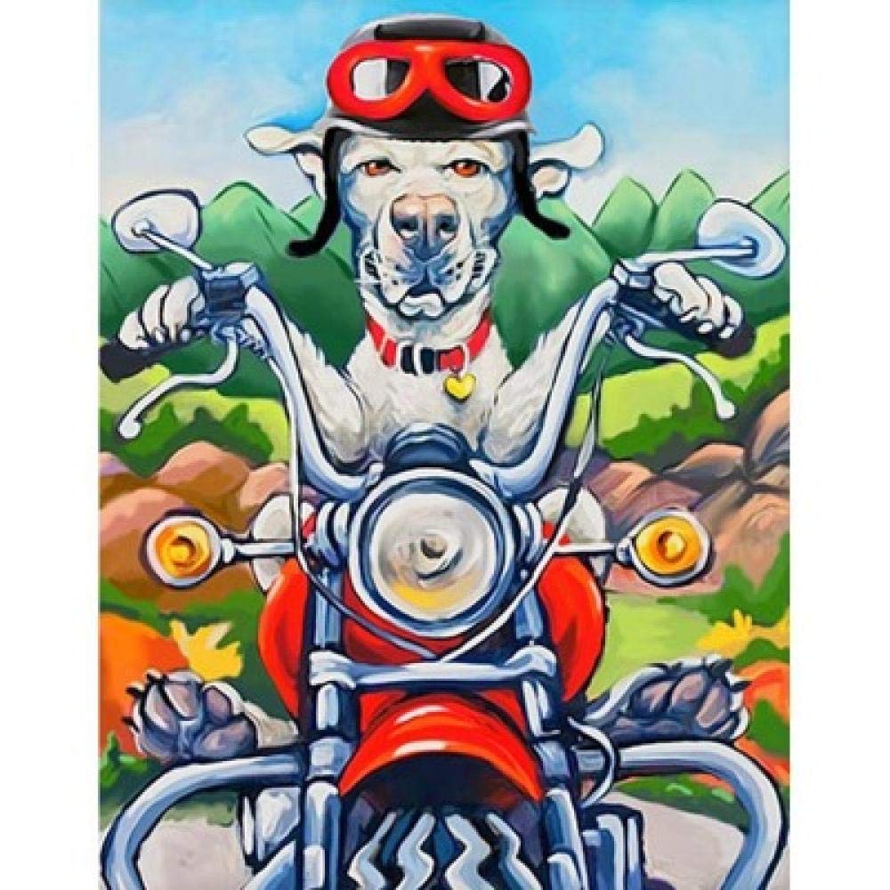 Diy diamant peinture point de croix bd moto canin canevas strass rond