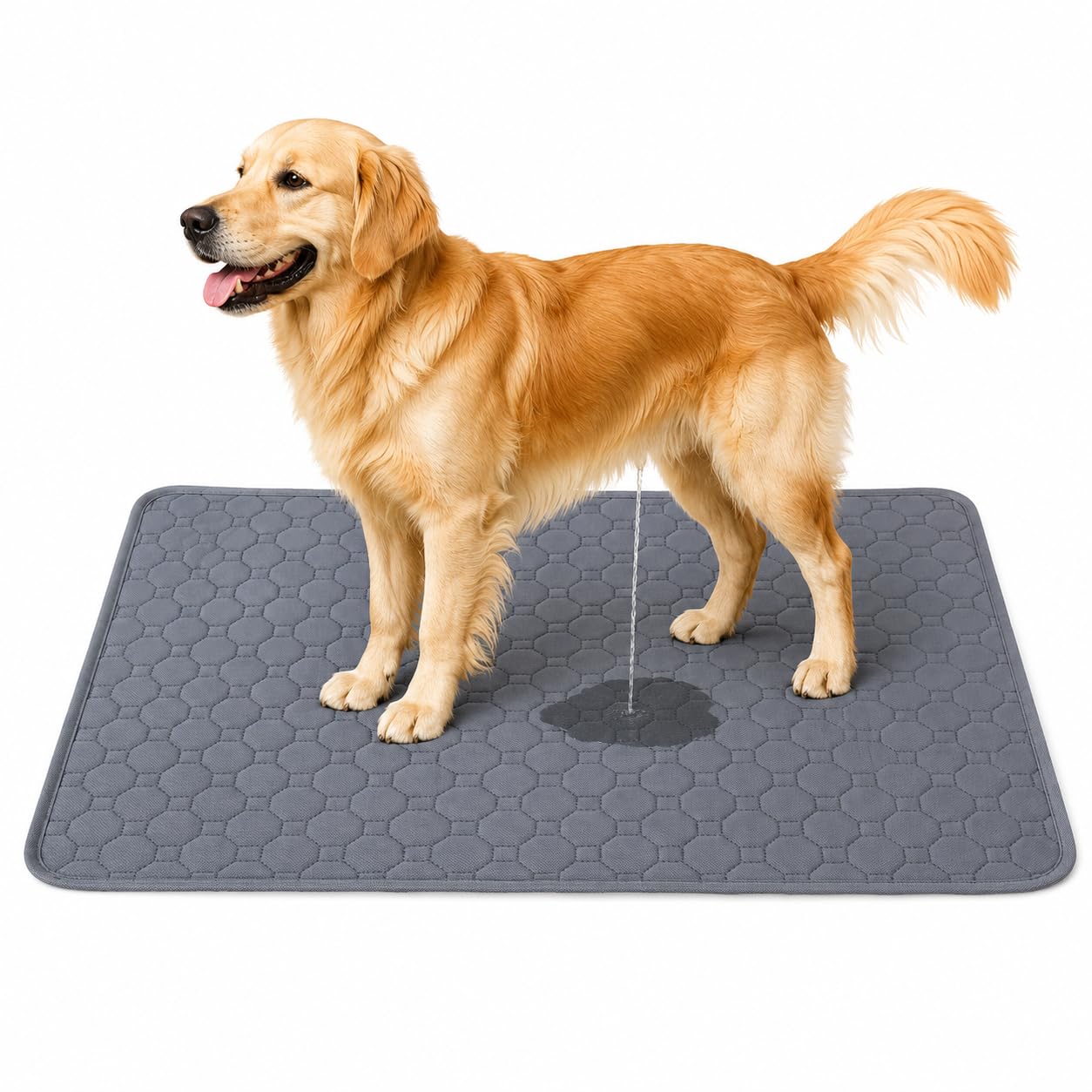 Washable Pee Pads for Dogs | Waterproof, Leakproof & Reusable Training Pad | Anti-Slip Quick Dry Dog Potty Mat for Floor, Sofa & Car Seat (60X90 CM)-image-43