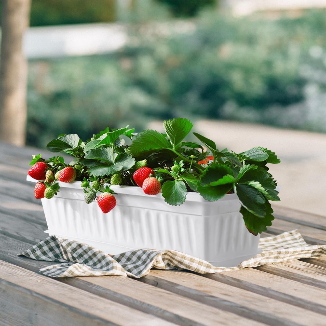 Rectangular Plastic Planter Pot 2 Pack with Drainage Saucers 5.5X7.4X5.5 Inches Indoor Outdoor Garden Vegetable Succulent Flower Box