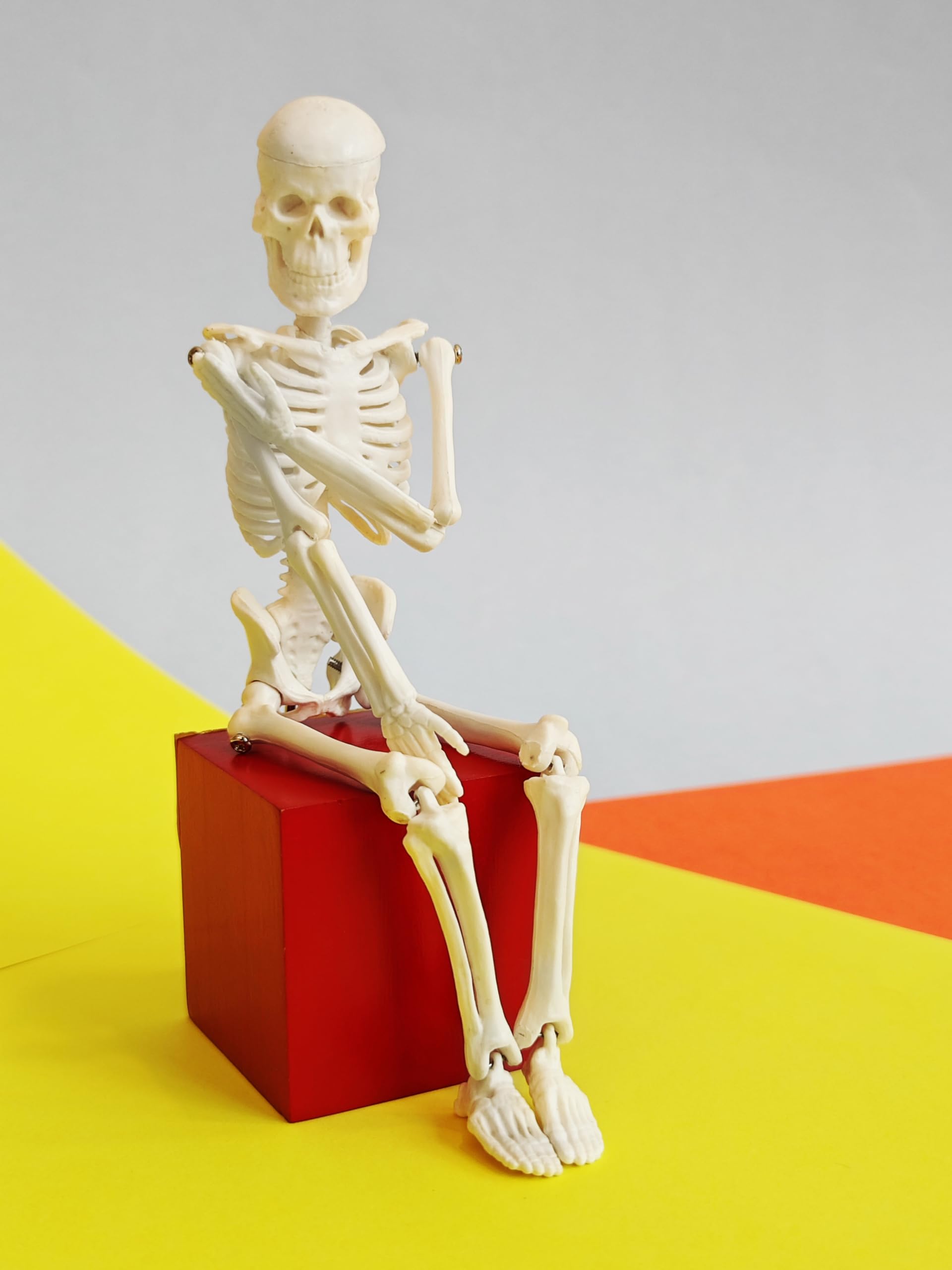 Labzio Micro Skeleton Model — 21cm Height, Anatomical Learning Human Skeleton for Students | Easy to Carry | Made of PVC Plastic | Mini Skelton Model for Science Laboratory, Home, Educational Trips (B0CVDXD1KG) Amazon Price History, Amazon Price Tracker