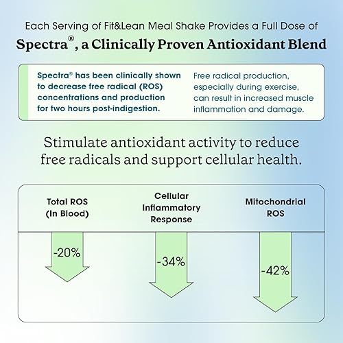 Miniatura 7 de Fit & Lean - Batido de reemplazo de comida para quemar grasa con proteínas, fibra, probióticos, frutas y verduras orgánicas y té verde para