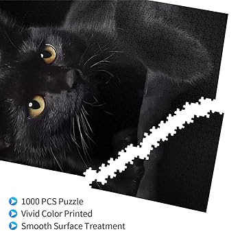 黒猫　　シビックタイプR ジグソーパズル2個セット 黒猫 シビックタイプR ジグソーパズル2個セット 黒猫 シビック