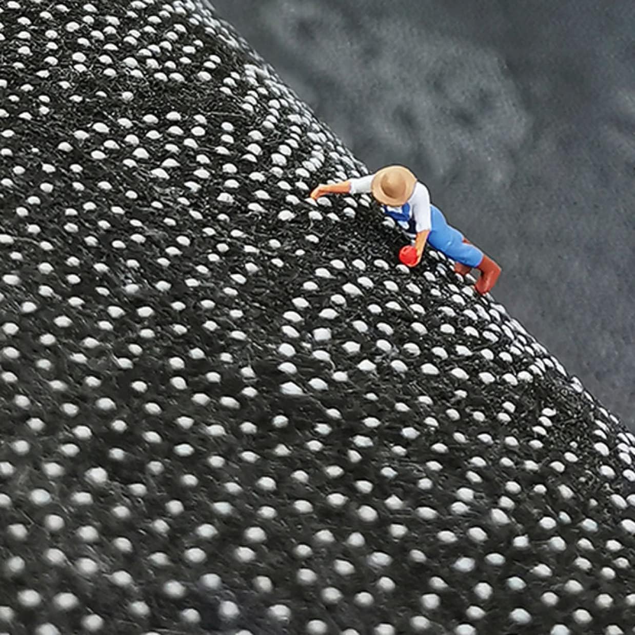 葉祥明 Shomei Yoh 「風の凪」プリンスエドワード島 版画 額装 葉祥明 Shomei Yoh 「風の凪」プリンスエドワード島 版画 額装