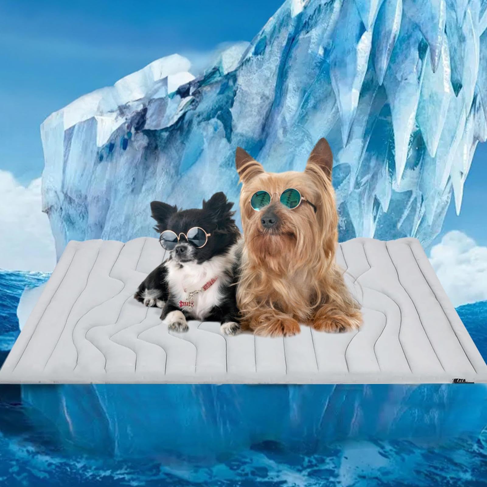 Générique Tappeto refrigerante per cani, doppio lato, velluto/tessuto traspirante, antideformazione per pavimento/auto, gel autorinfrescante senza energia, per interni, esterni, custodia per il