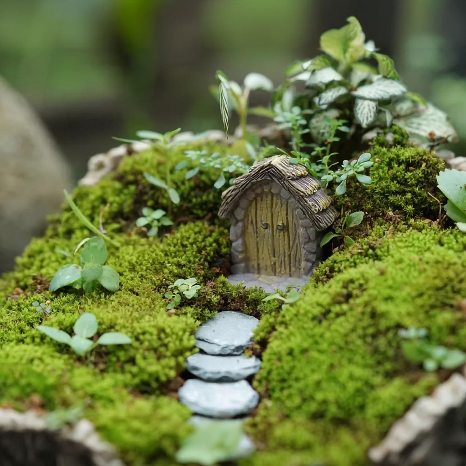 Diy Miniature Fairy Garden Make Your Own Fairy Garden | Online Class