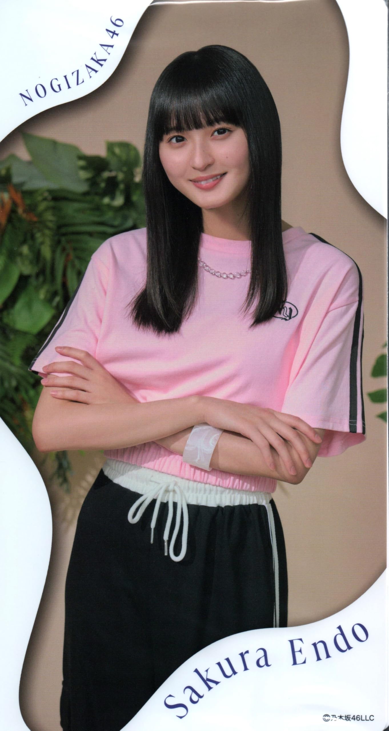 乃木坂46 遠藤さくら　個別フォトアルバム　Ⅱ ★ 乃木坂46 遠藤さくら 個別フォトアルバム Ⅱ ☆ 乃木坂46 遠藤