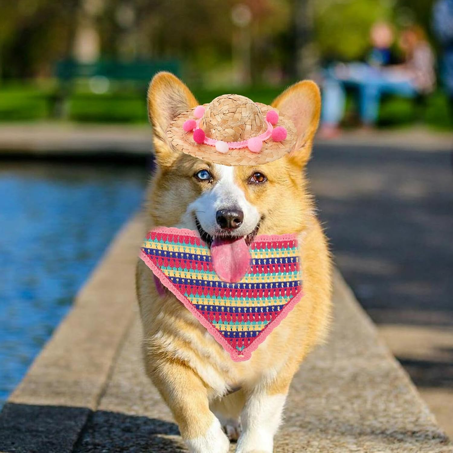 BETOOKY Small Dog Straw Hat and Crochet Triangle Bandana Set, Pink Pom-pom Woven Pet Cap for Puppy Outdoor Party and Photography Accessory