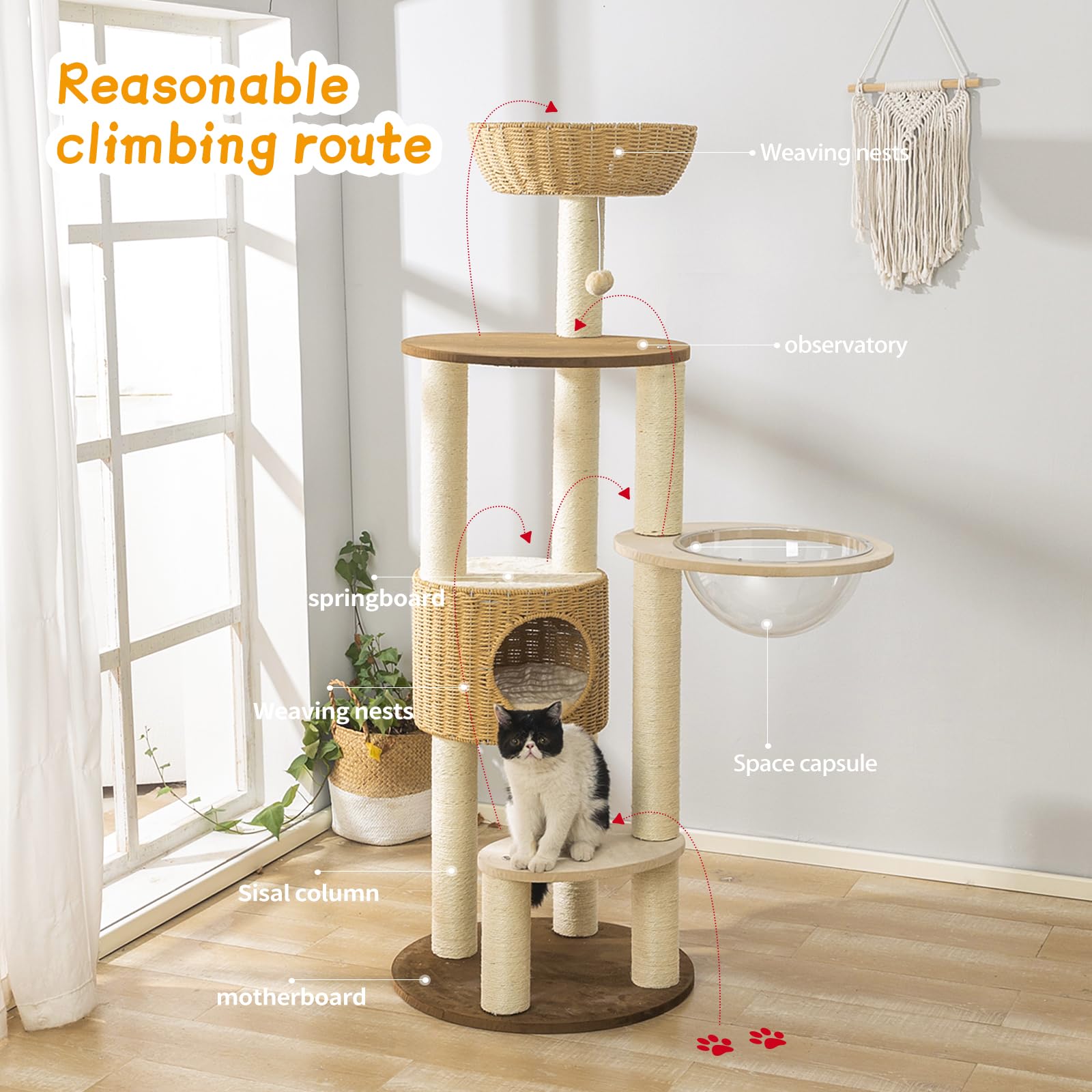 Amazon.co.jp: モダン キャットツリータワー 大型猫用 3キャットネスト