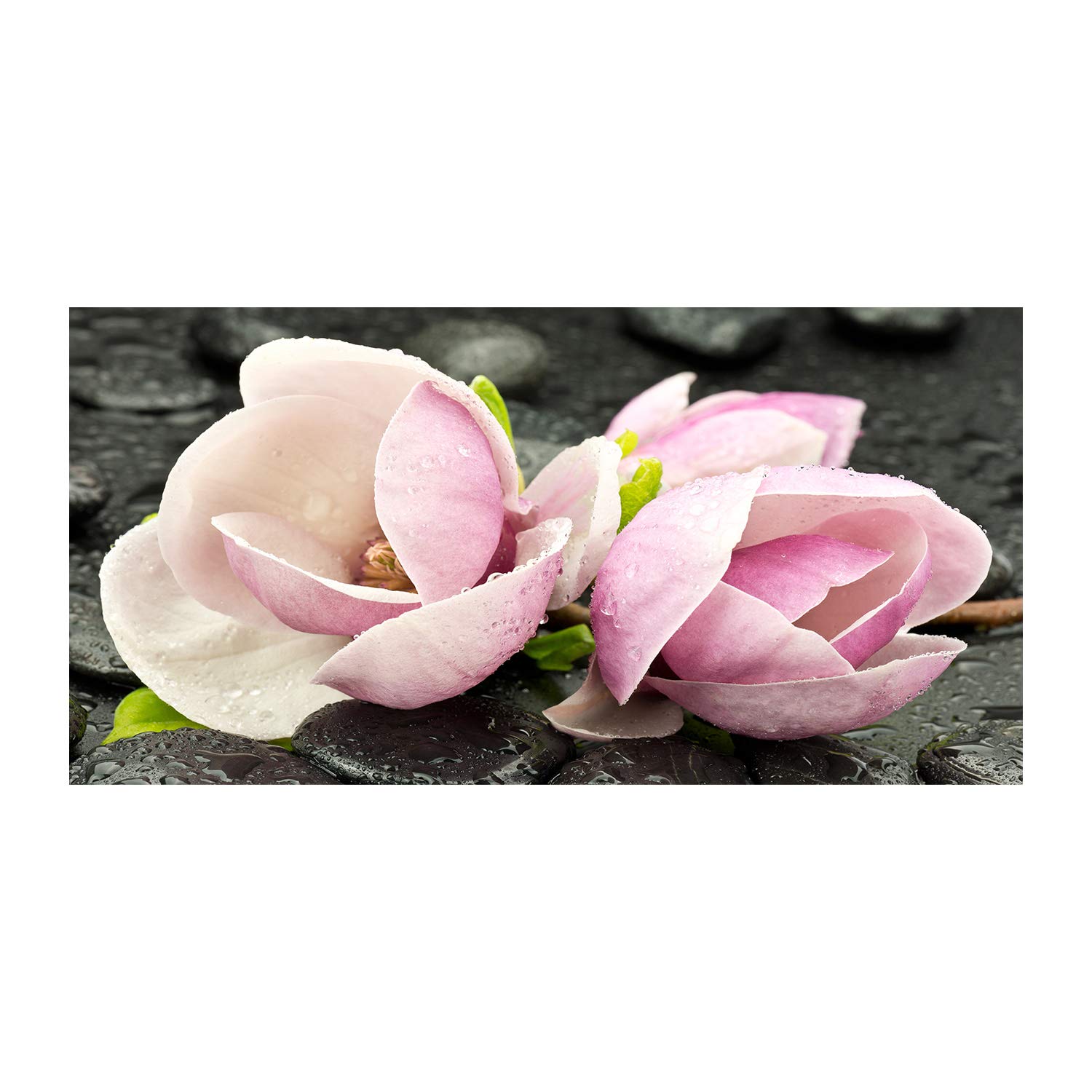 Impression sur verre fleurs de magnolia pour creer une ambiance zen et relaxante dans le salon