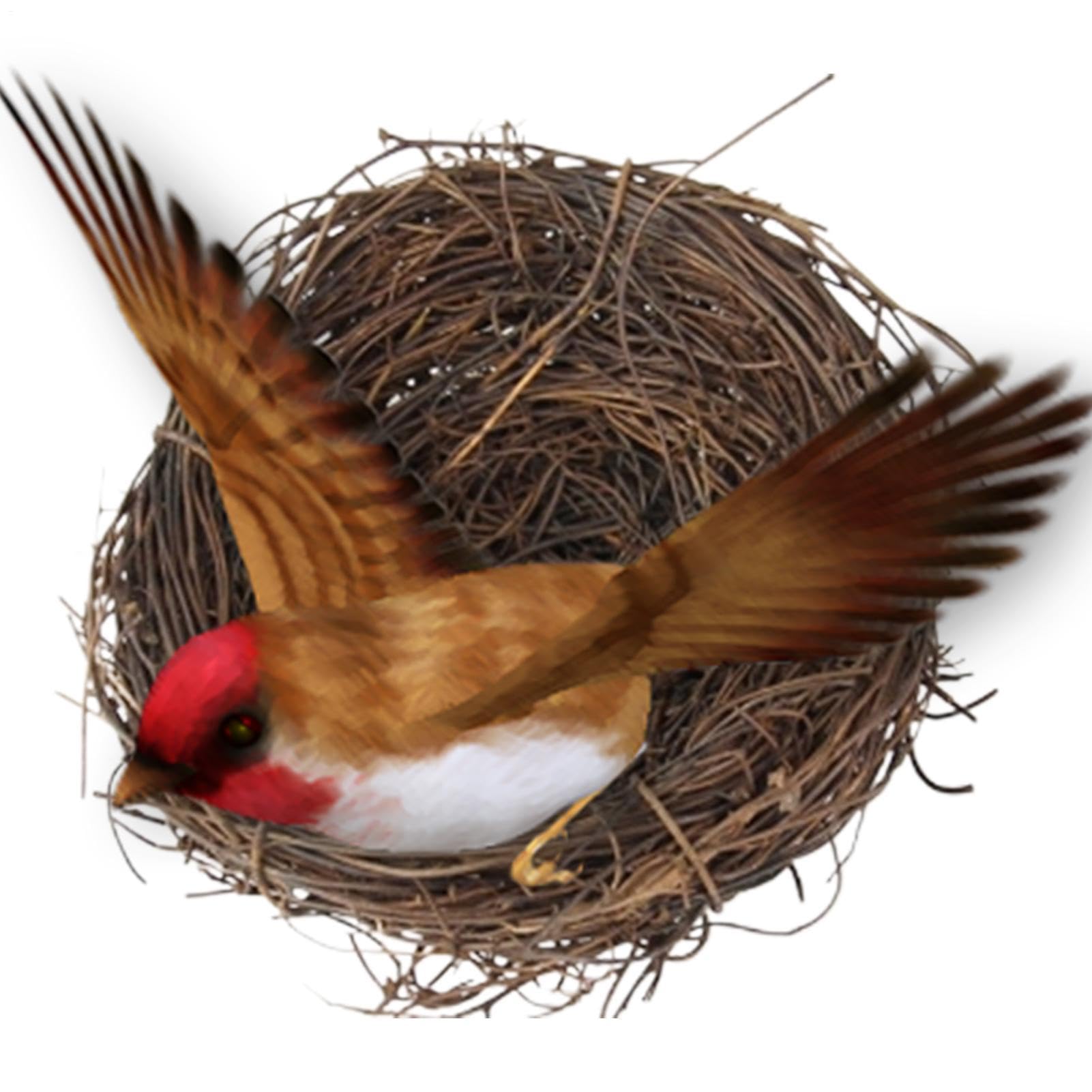 Nido de pájaros – Nido de loro tejido hecho a mano | Base plana para animales pequeños para jardín, accesorios de jaula de pájaros para hábitat, cabaña de césped natural para pinza, periquito, canario — view 6