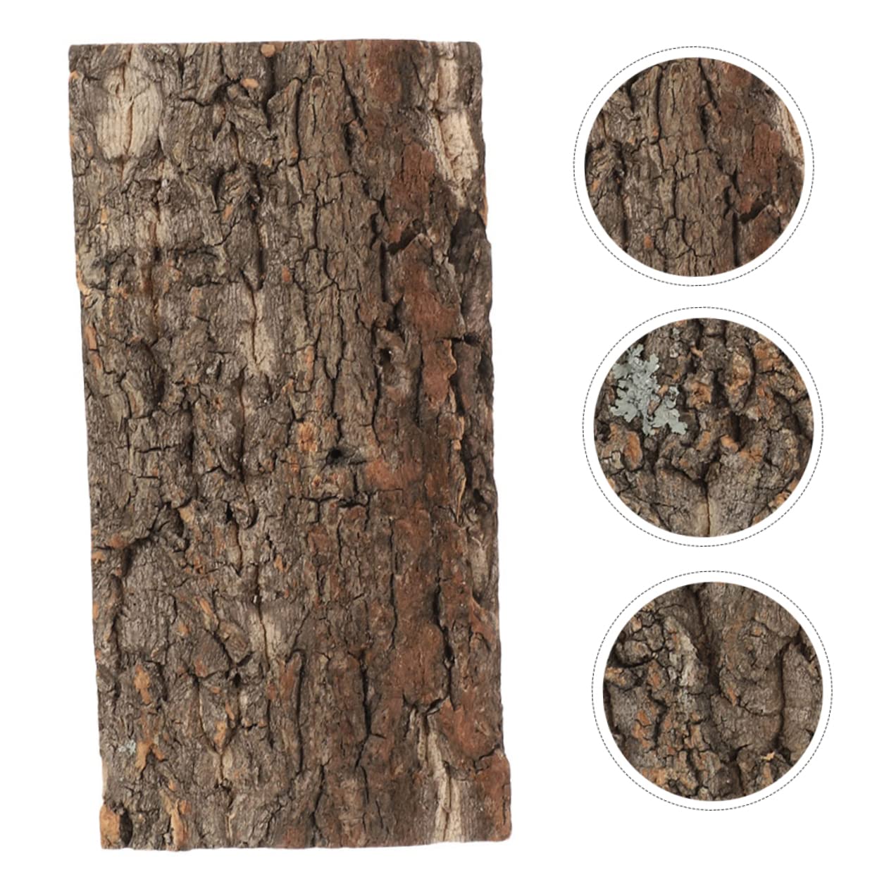 BESPORTBLE 10piezas Reptile Bark Backdrop para y Terrarios Natural De para Decoración De Peceras y Reptiles y
