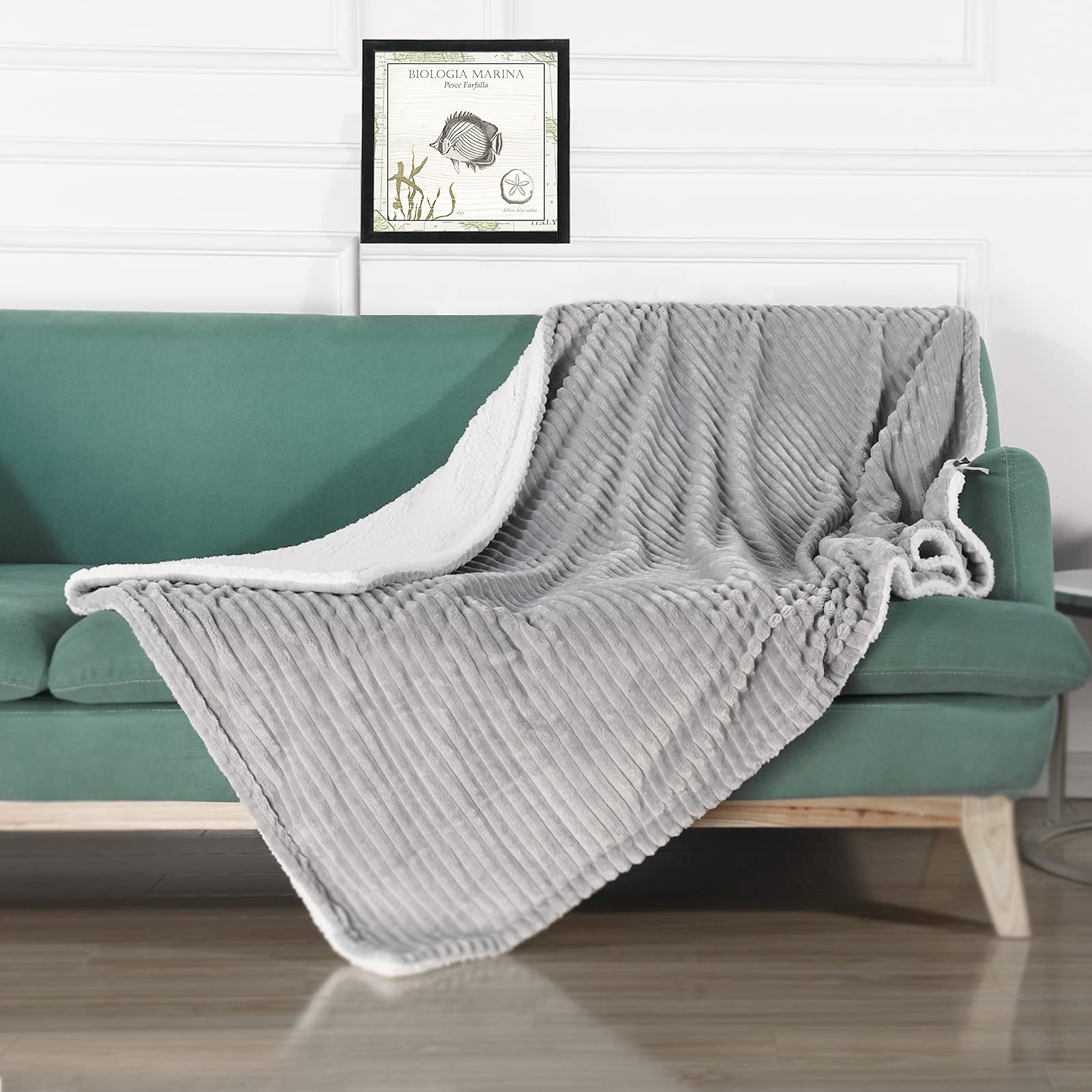 JONES & ANNE 50" x 60" Fleece Throw Blanket for Couch Lightweight Soft Plush Fluffy Warm Cozy Blanket, Perfect for Bed and Sofa(Grey)