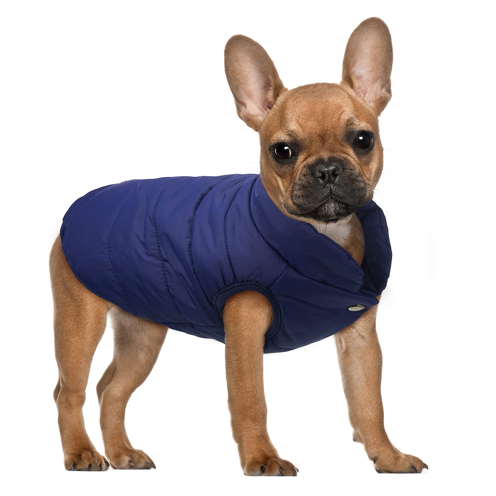 Syhood 2 Pièces Veste pour Chien pour Animaux de Compagnie 2 Veste de Chien Chaud Doublée Polaire Manteau Doux de Petit Chien Coupe-Vent pour Hiver Température Froide (M)